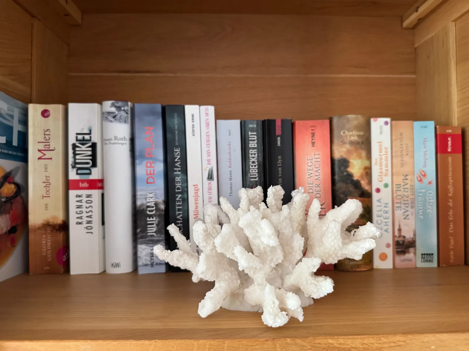 Bücherregal mit Romanen und einer weißen Koralle