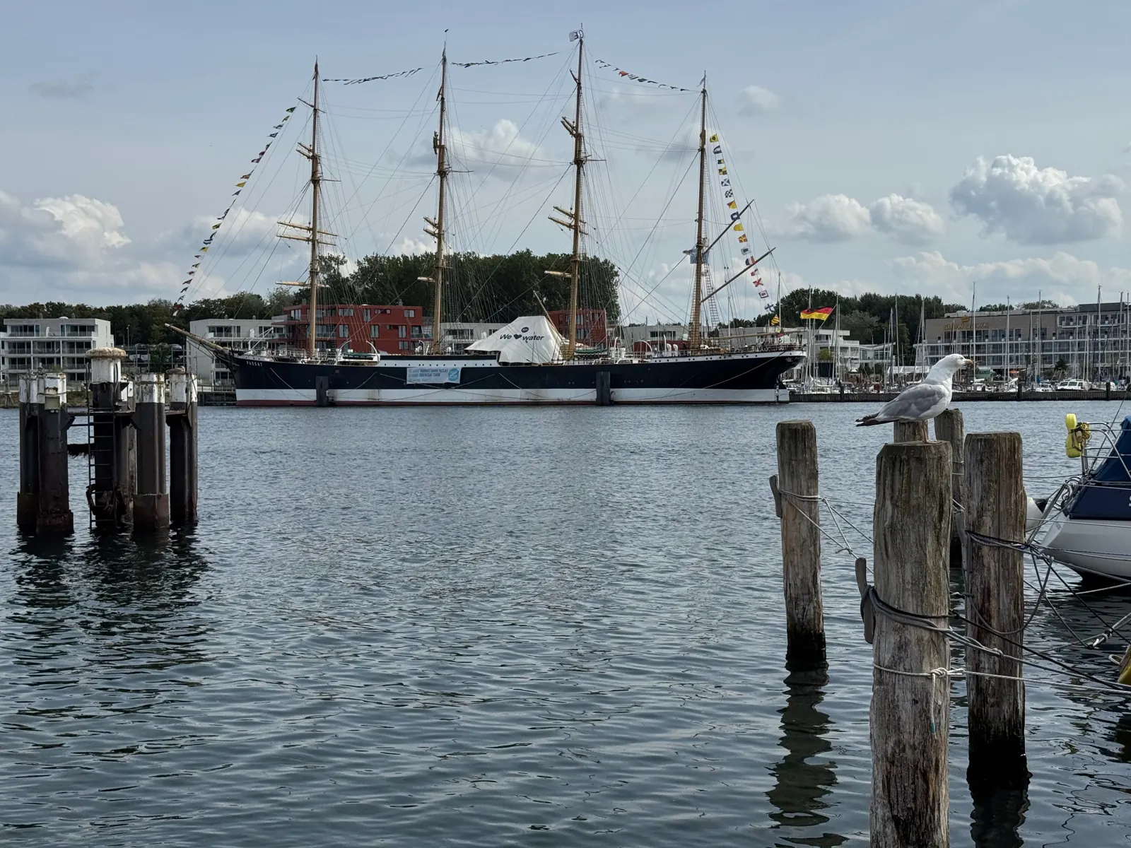 Die Viermastbark Passat im Hafen am Priwall, davor Dalben im Wasser